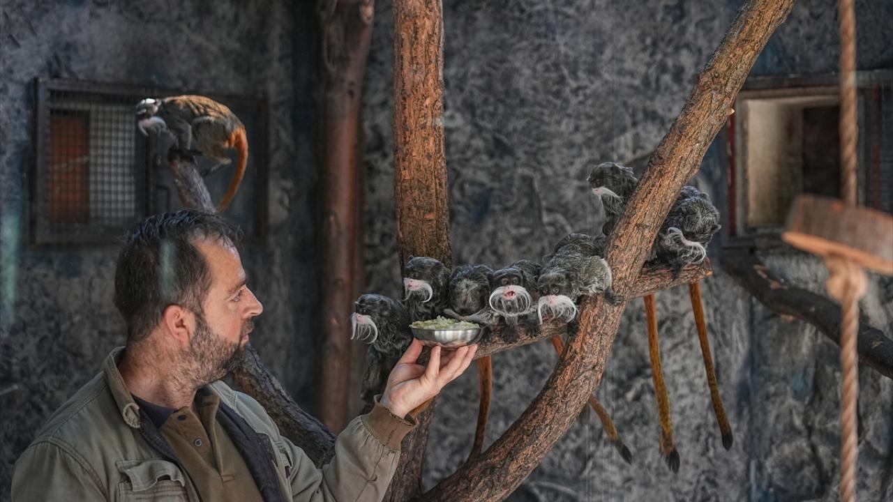"Onları sıcak tutması için tatlı yiyeceklere yöneliyoruz"