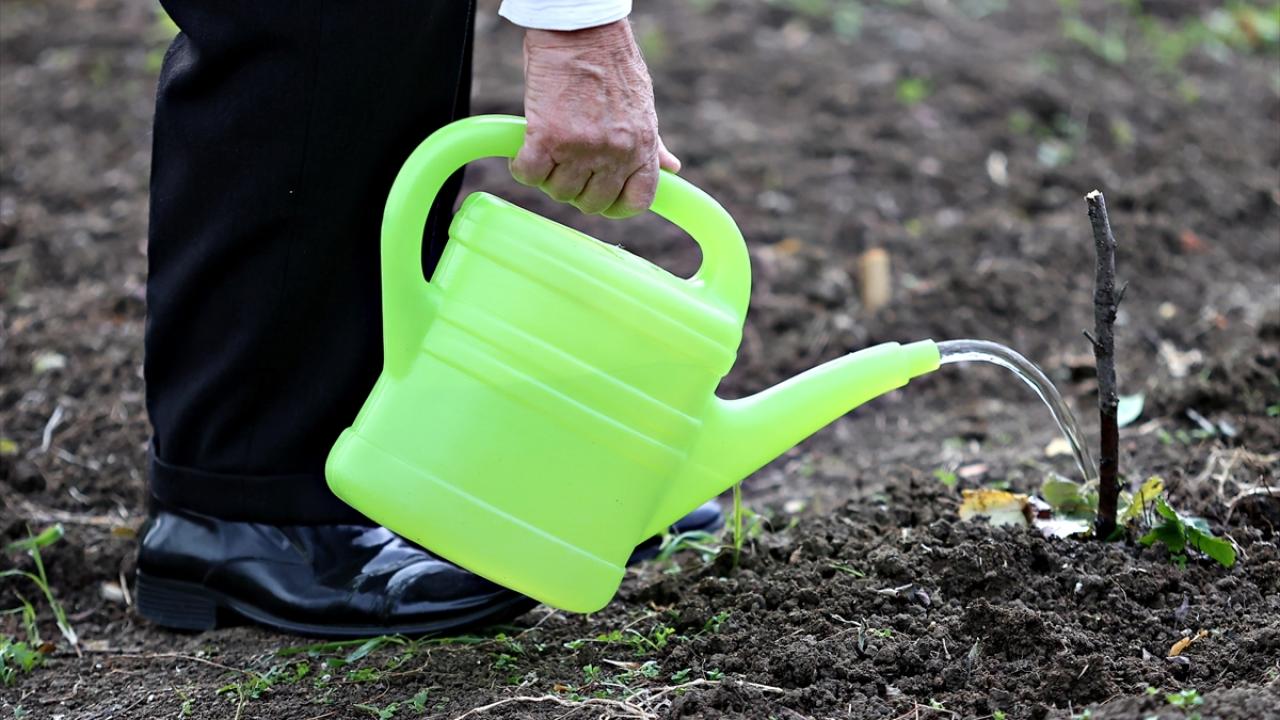 "Keyif veren bir şey, yaşama, hayata dokunuyoruz"