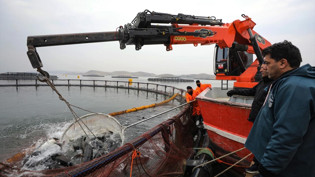 "4-5 sene sonra balıklarımızın ihracatına başlayacağız"