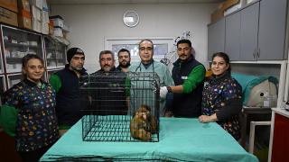 Sınırda yakalanan maymun yavruları yeni yuvalarına yerleştirildi