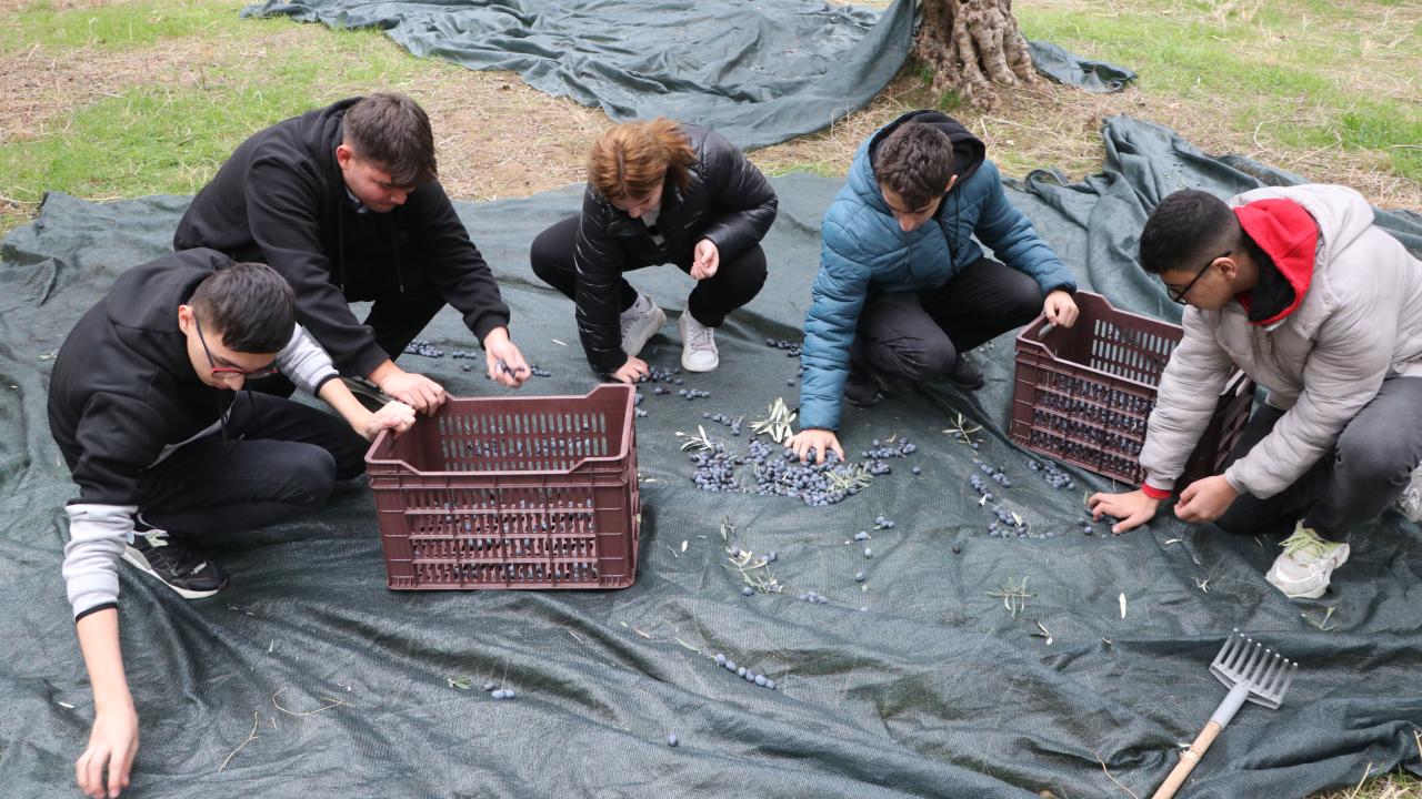 Patent başvurusu yaptılar