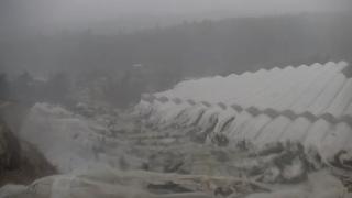 Manavgat'ta hortum muz seralarını yerle bir etti