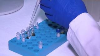 Gıdada 'zirai ilaç' analizi nasıl yapılıyor?