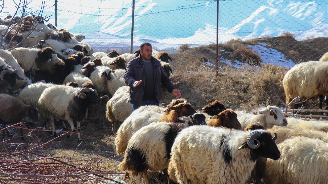 "Ailemizden ayrı kalmak zordu"