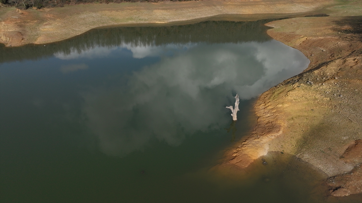 Son 10 yılın doluluk oranları