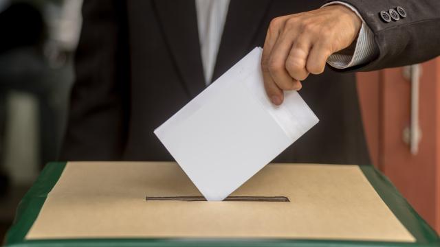 Almanya'da aşırı sağcı AfD, SaksonyaAnhalt eyalet seçimini açık farkla kazandı haber görseli