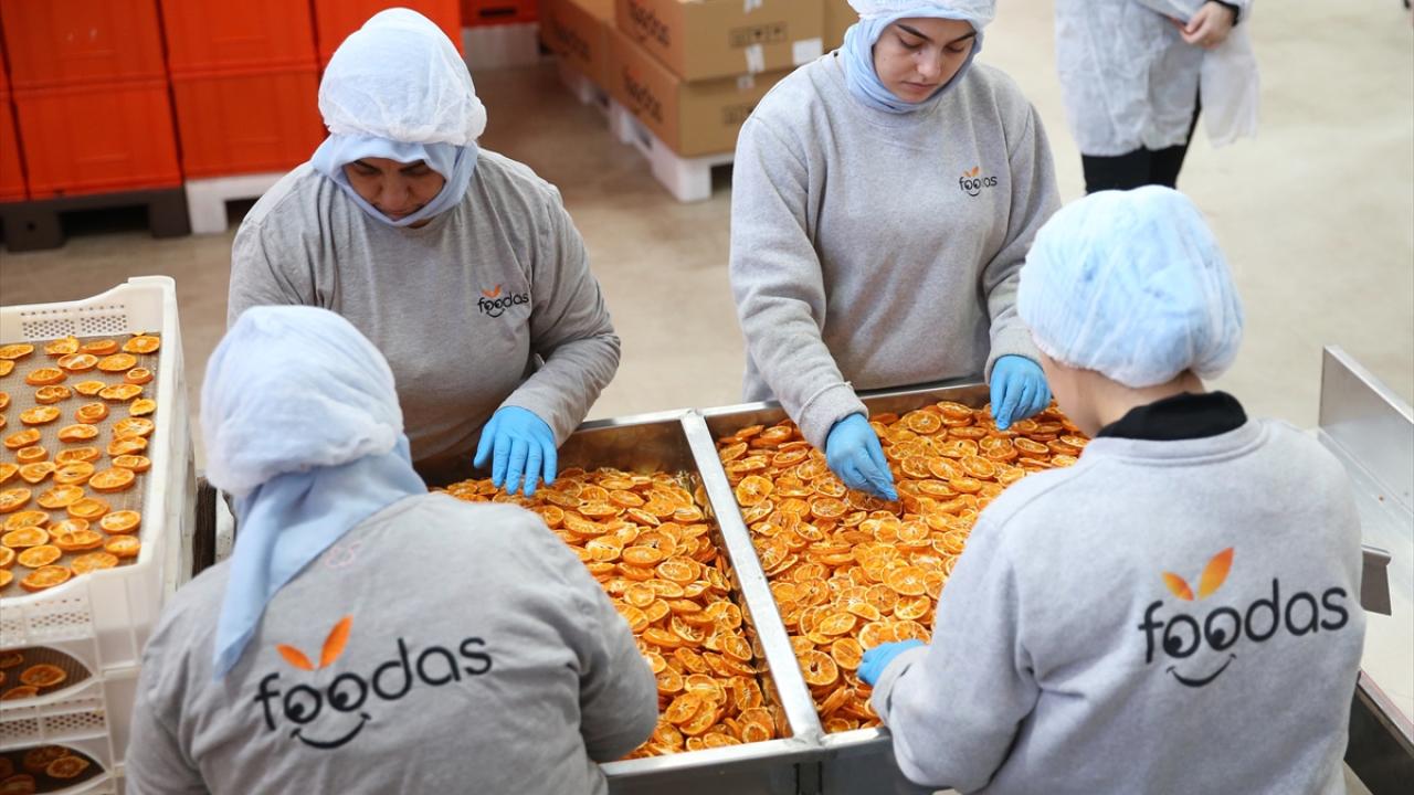 "Birçok yatırıma destek verdik ve vermeye devam edeceğiz"