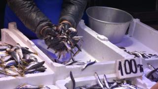 Trabzon'da hamsinin kilogramı 100 liradan satılıyor