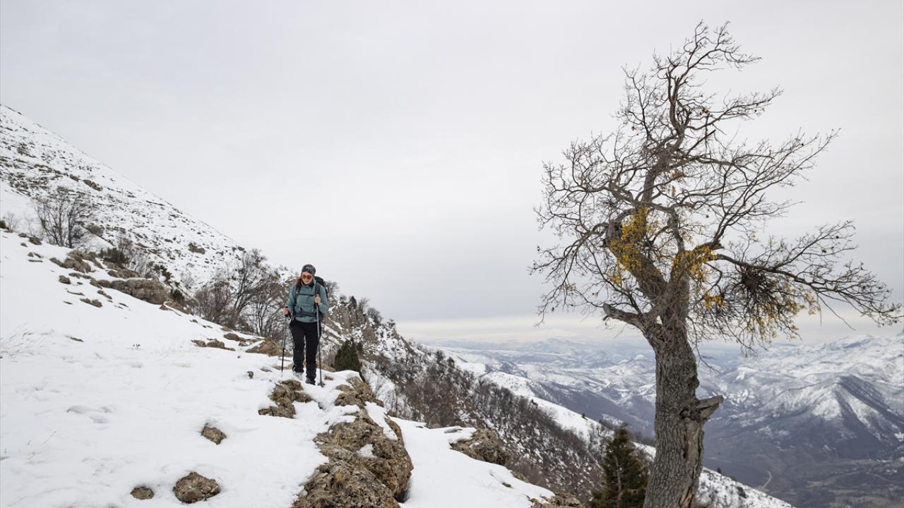Meşe ormanları arasında yürüyüş