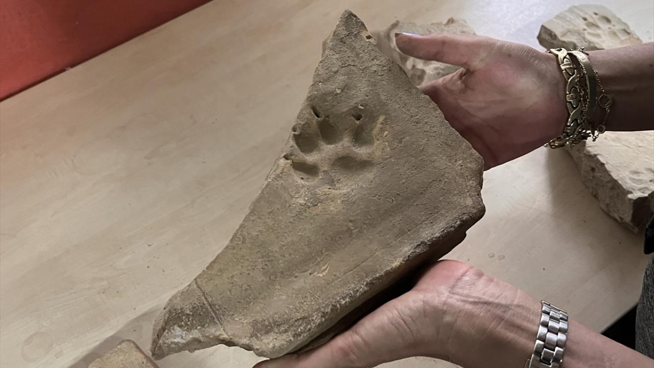 "Köpekleri ile yan yana gömülmüşler"