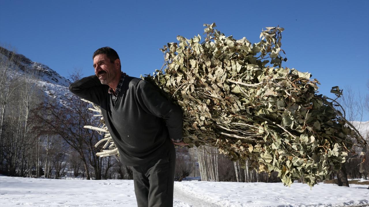 "Geçimimizi hayvancılıkla sağlıyoruz"