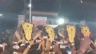 Hindistan’daki festivalde insanlara fil saldırdı: 17 yaralı