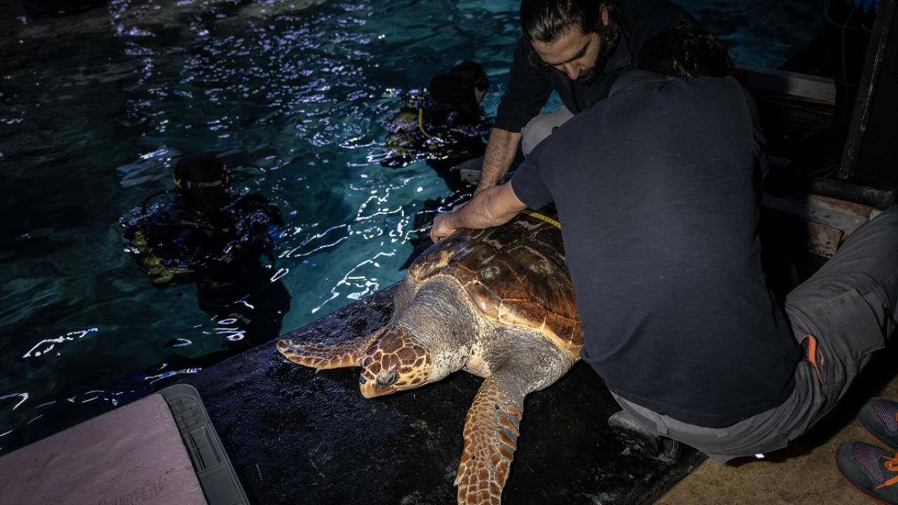 "1 yıl özel olarak şırıngayla beslendi"