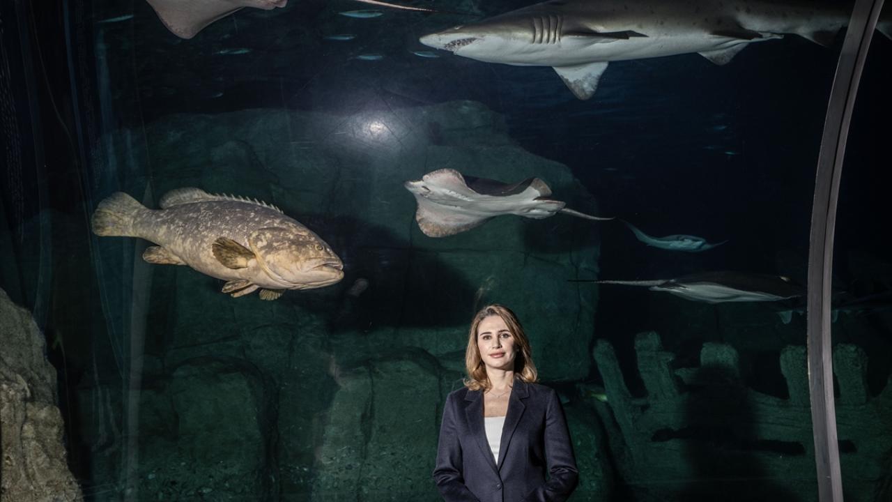 "Kabukta mantar ve kaya midyelerinden kaynaklı oluşmuş enfeksiyonlar vardı"