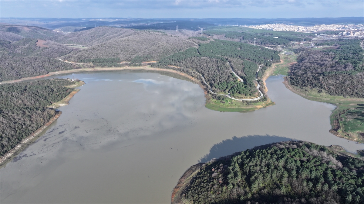 Son 10 yılın doluluk oranları