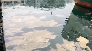 Kadıköy'de deniz yüzeyinde müsilaja benzer kirlilik görüldü