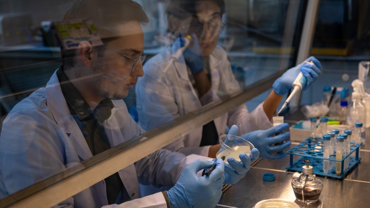 "Bu genlerin çalışmasıyla yağlar biriktirilip kış boyunca yakılabiliyor"