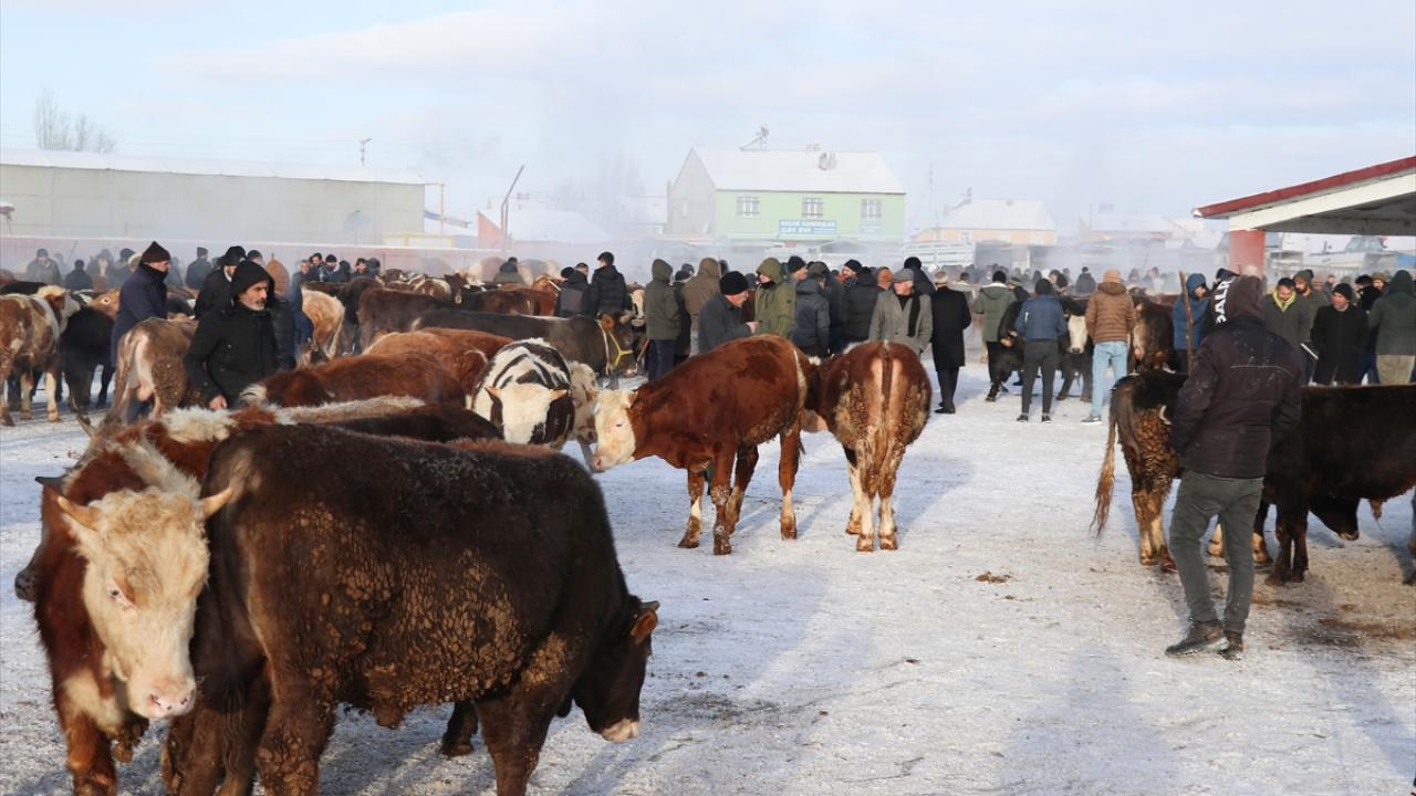 "310 binin üzerinde büyükbaş, 1 milyon 600 bine yakın küçükbaş var"
