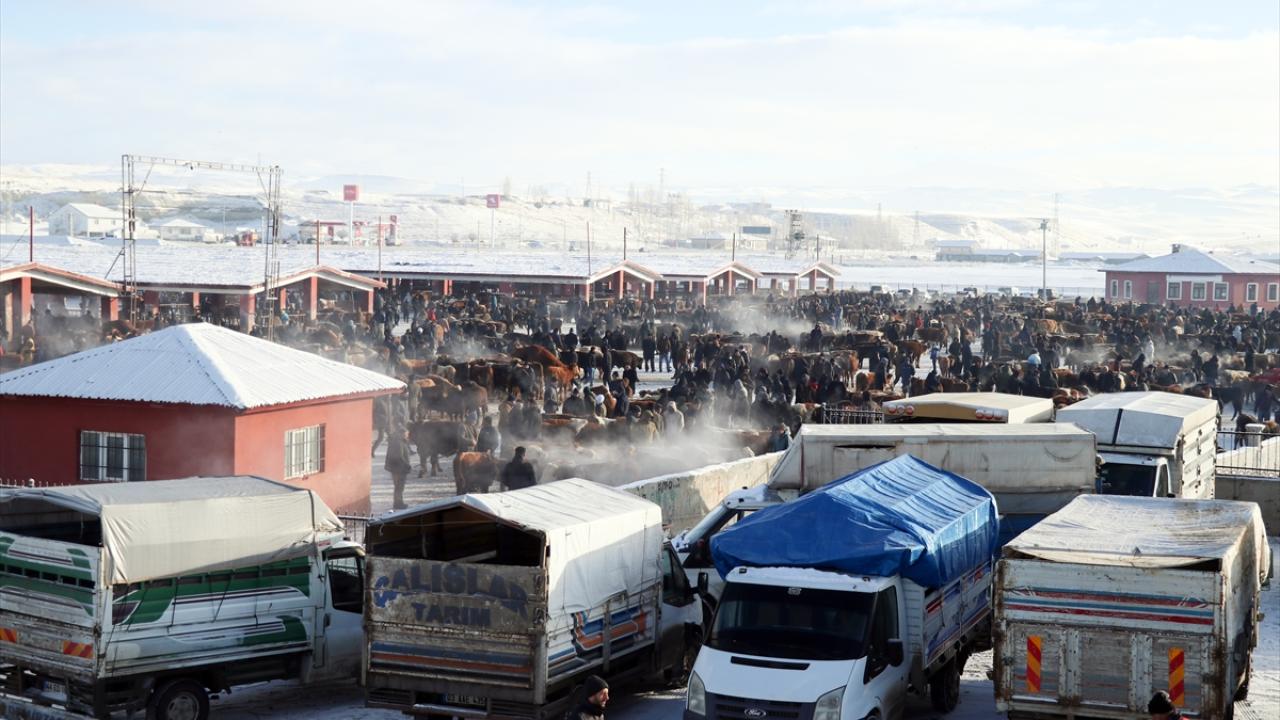 "Ülkenin her yerine hayvan gönderiliyor"