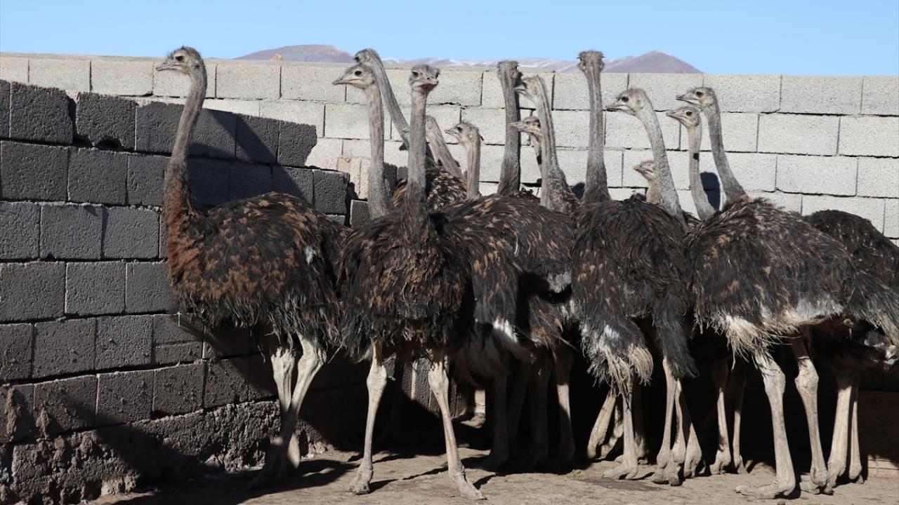 "Çok tepki aldım ama kimseyi dinlemedim ve başardım"