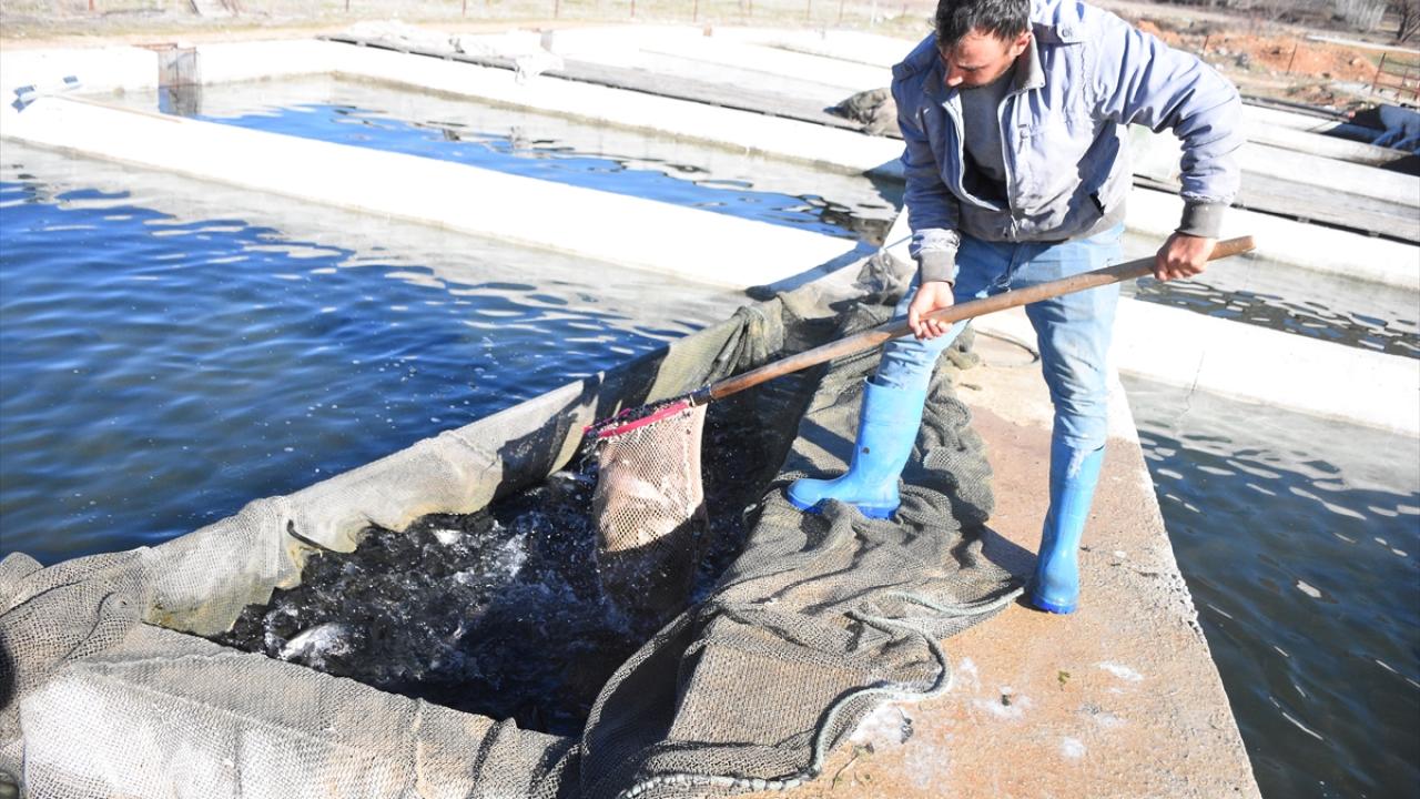 "Kooperatifimiz, bölgemize canlılık kazandırdı"