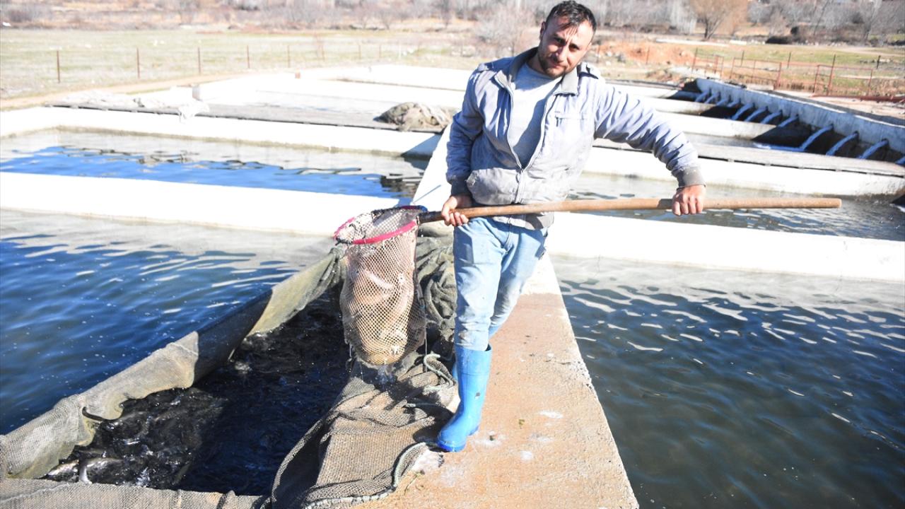 "Alabalık üretimini artırmak için yeni yatırımlara odaklanıldı"