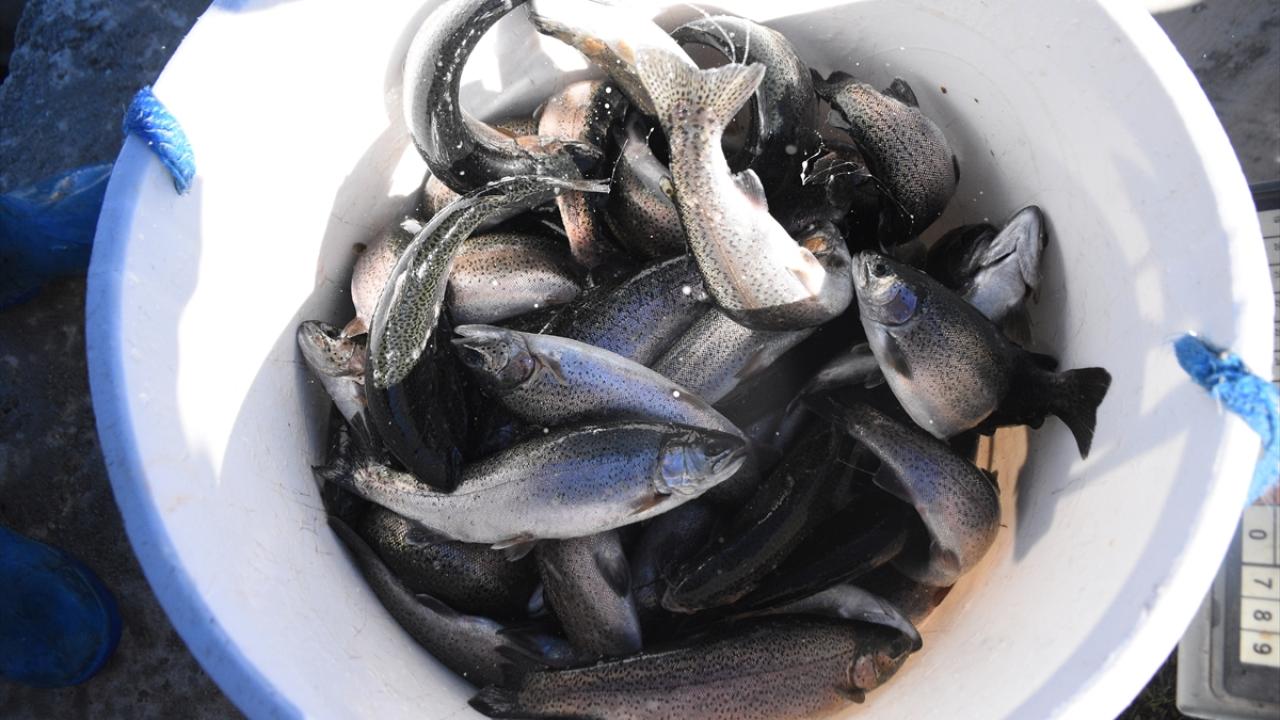 Düzenli olarak denetleme yapılıyor