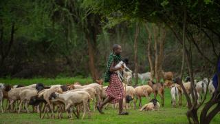Afrika’nın güçlü savaşçıları: Masai Kabilesi