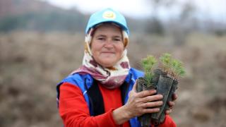 Kırklareli'nde fidanlar kadınların ellerinde yeşeriyor