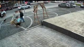 İstanbul'da başıboş köpekler yoldan geçenlere işte böyle saldırdı