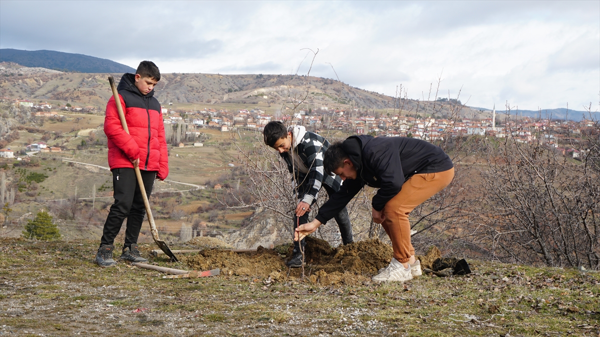 Bugüne kadar 170 fidan toprakla buluşturuldu