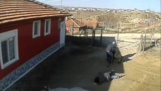 Çorum'da köpeğin saldırdığı 3 kişi yaralandı