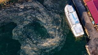 Marmara Denizi'nde müsilaj yeniden görüldü