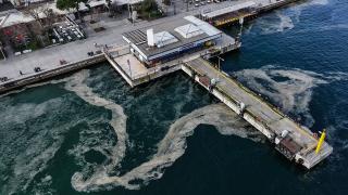 Müsilaj Marmara'yı yeniden sardı