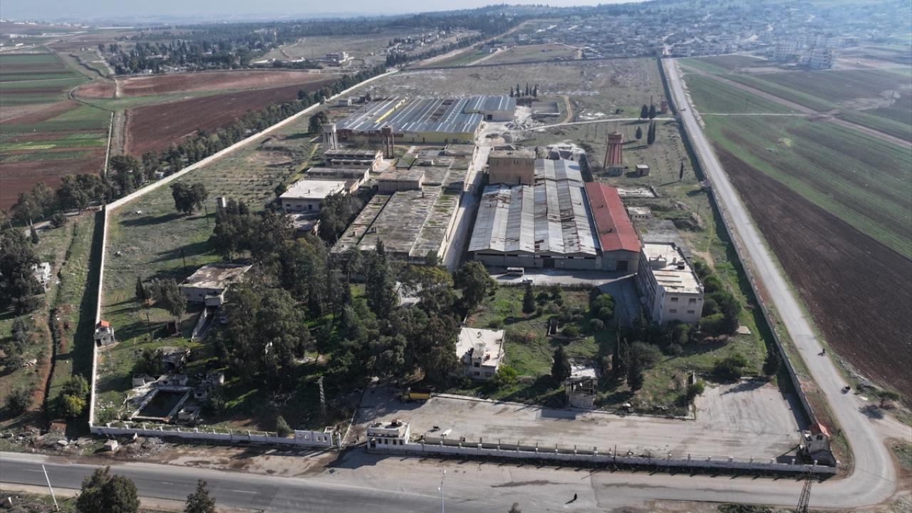 1982`deki Hama Katliamı