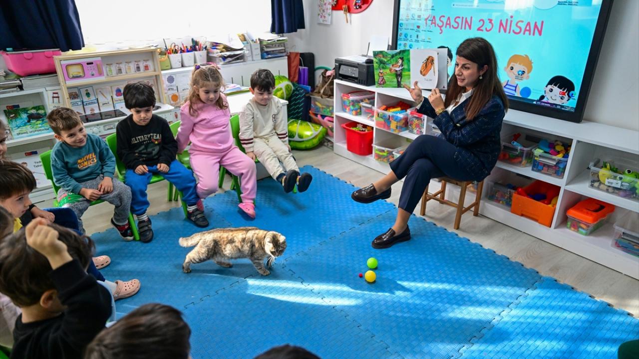 "Karakteristik bir kedi, huyu da öyle"