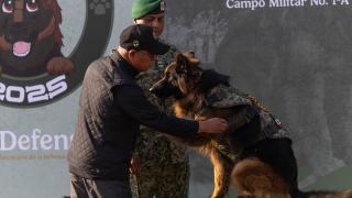 Proteo'nun anısına Türkiye'den Meksika'ya hediye edilen “Arkadaş”, onbaşı oldu