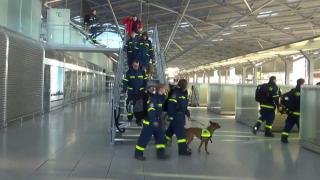 Dünya, 6 Şubat depremlerine yardım için seferber oldu