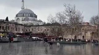 Eminönü Meydanı'nda sahipsiz köpeklerin saldırısı kamerada