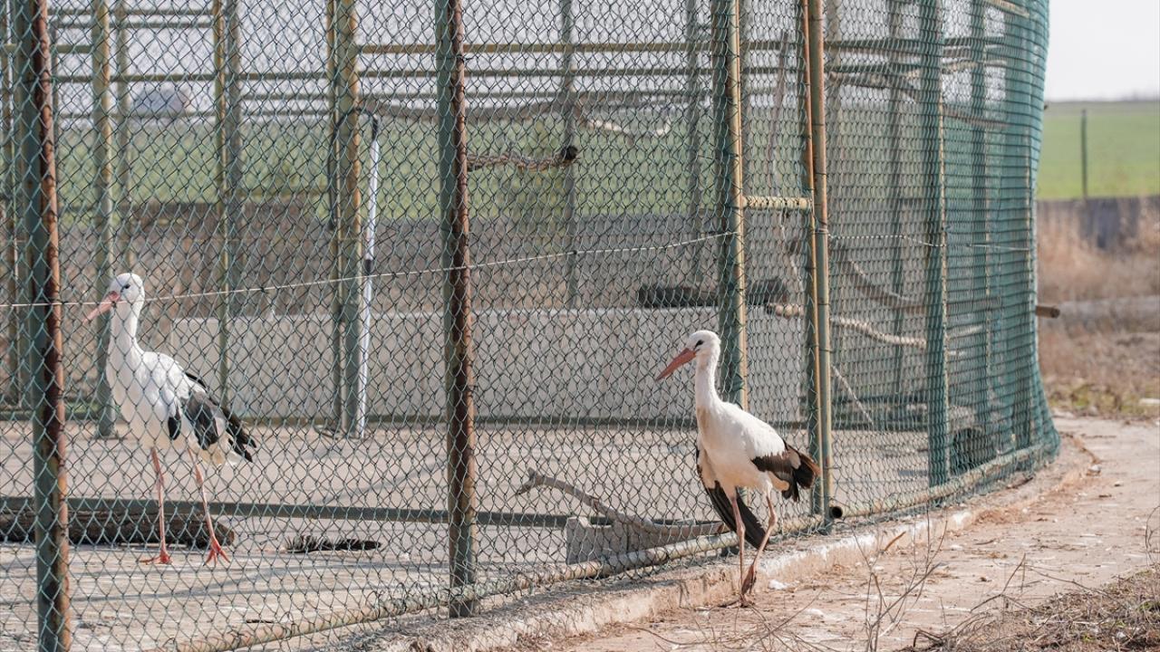 "Dicle bizi terk etmedi"