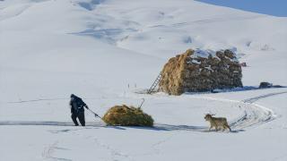 Doğu Anadolu’da yaşayan besicilerin zorlu kış mesaisi