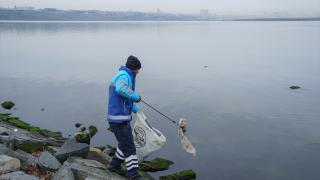 Küçükçekmece Gölü oksijensizlik alarmı veriyor