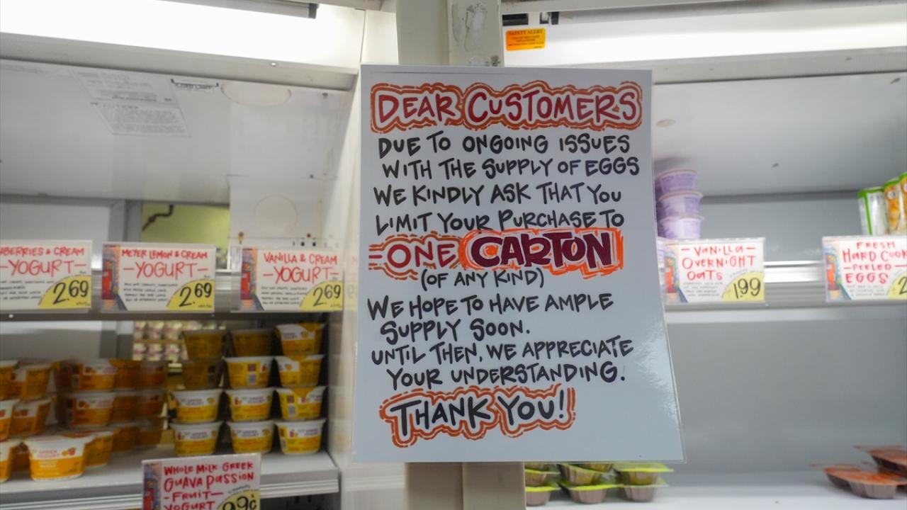 ABD'de bazı marketler yumurta satışına sınırlama getirdi