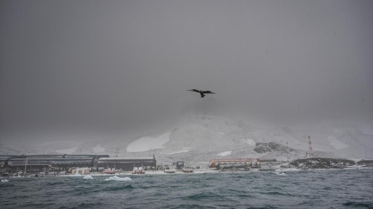 20 araştırmacının 4`ü yabancı ülkelerden