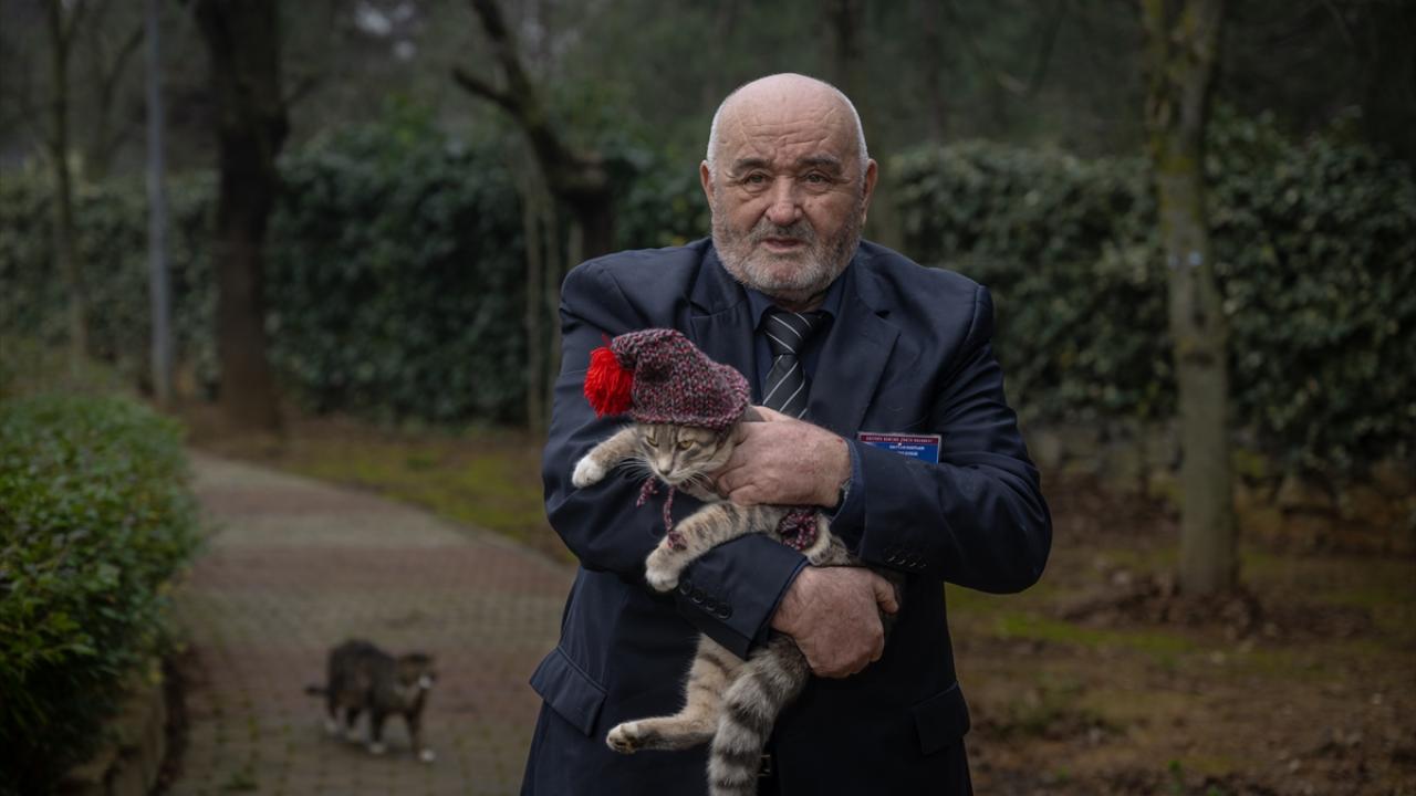 "Bizler mağdur olmadığımız gibi bu hayvanlar da mağdur edilmiyor"