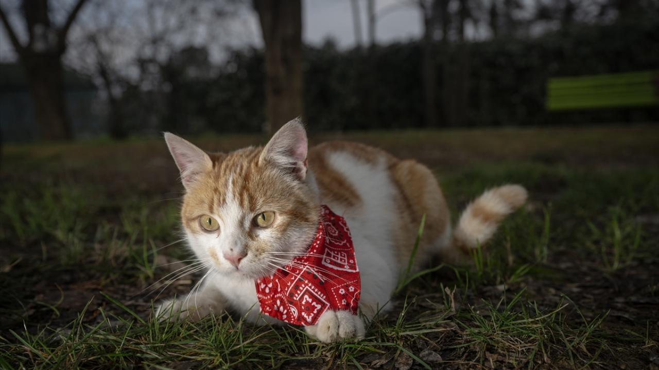 "Onlara da huzur verelim istedik"