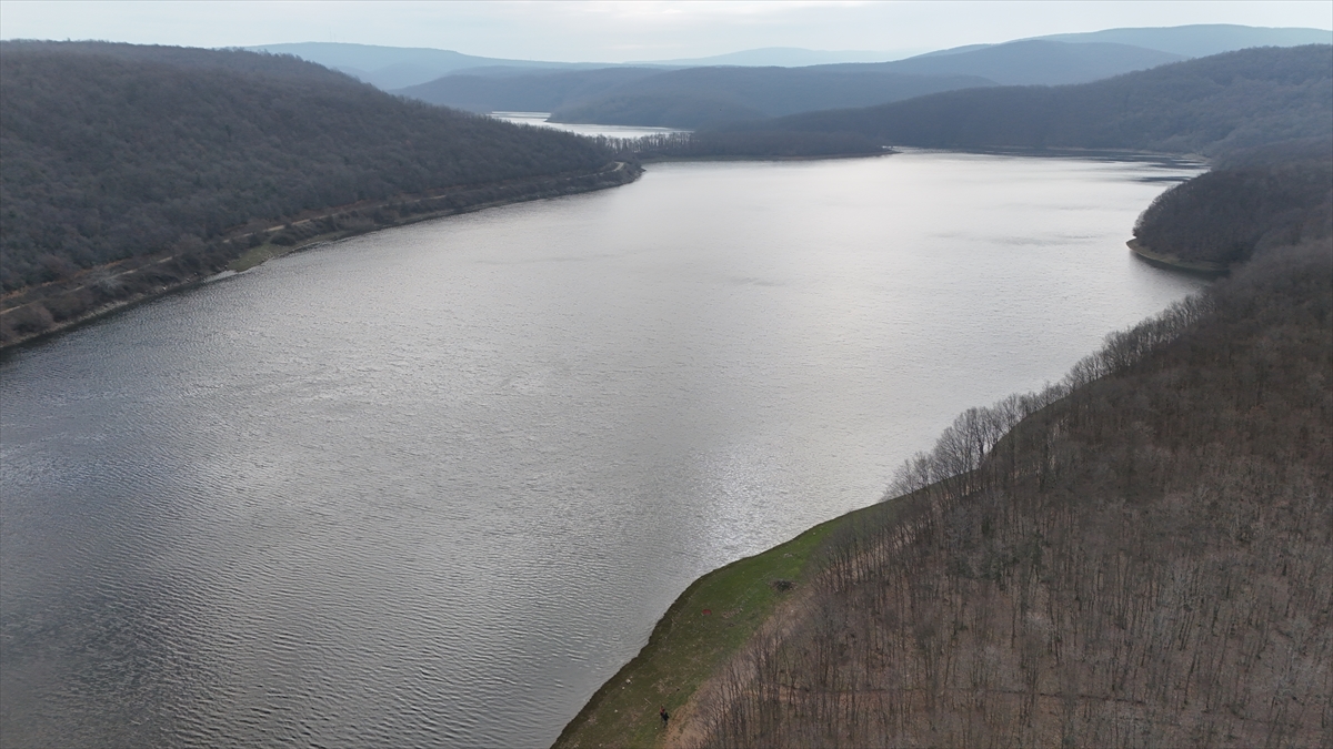 "Hem insanların hem bitkilerin, hepimizin suya ihtiyacı var"