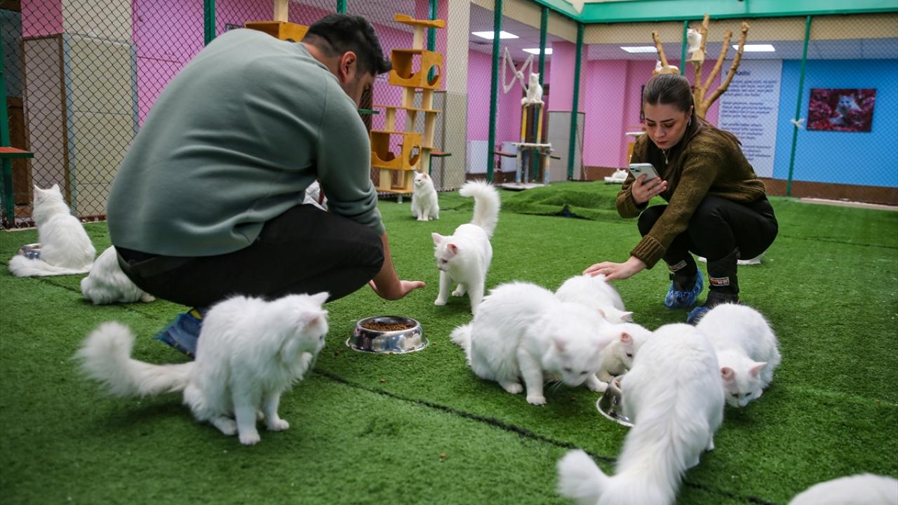 "Ziyaretçi sayısı mevsime göre değişiyor"