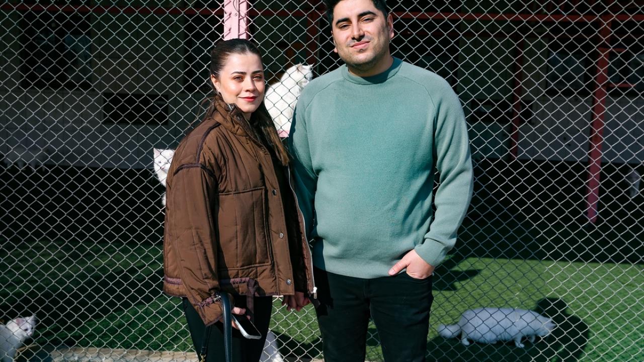 "Kediler çok güzel ve bakımlı"