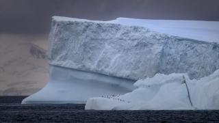 9. Ulusal Antarktika Bilim Seferi ekibi Dismal Adası’ndaki çalışmalarını tamamladı